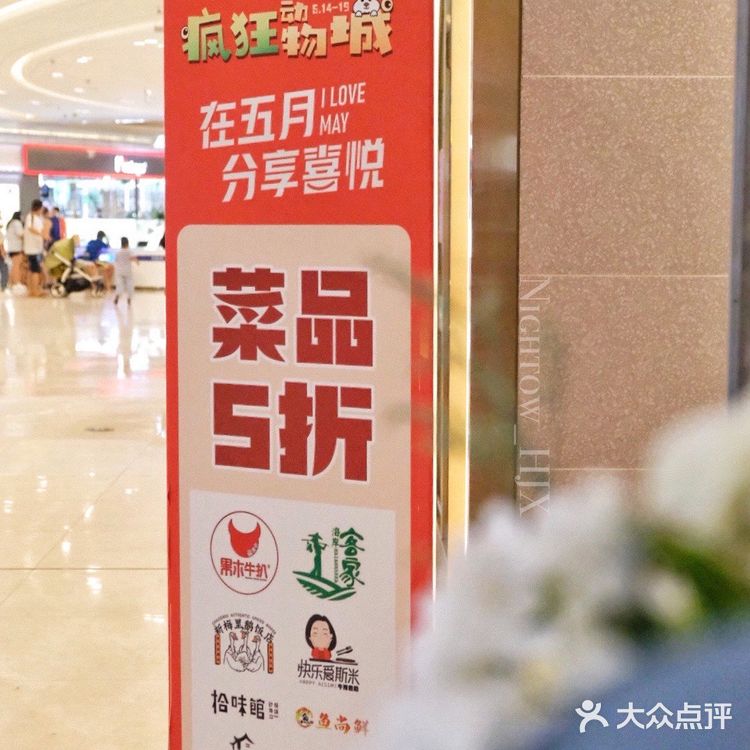 什么‼️吾悦广场惊现羊驼🦙
