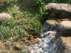 -茅山东方盐湖城景区