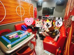 -ELEVEN桌游剧本杀轰趴馆(三里屯店)