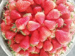 -西郊国际农产品交易中心