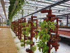 -北国之春国宴(乌兰察布店)