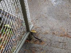 -鱼库·不仅是一家烤鱼店(车公庙店)