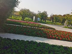 -上海杨姆庄园