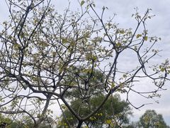 -福道