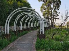 -铁山坪森林公园