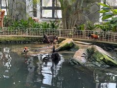 -南宫五洲植物乐园