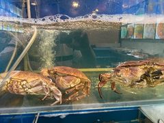 -福建美食城(老君堂店)