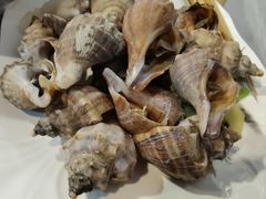 -牛天下·牛肉·海鲜·打边炉·融合菜