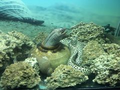 -泉州海丝野生动物世界