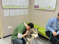 -瑞鹏宠物医院·骨外科·心肾科·肿瘤科(九亭店)