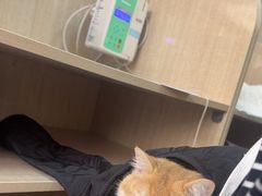 -北京观赏动物医院·24小时大型综合·猫专科·异宠专科
