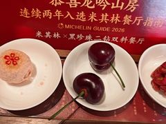 -龙吟山房(青龙山庄店)