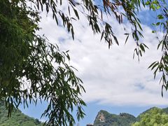 -都江堰石锅鱼