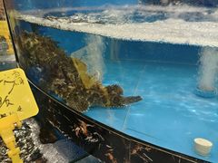 -丁字口海鲜热炒·烧烤大排档