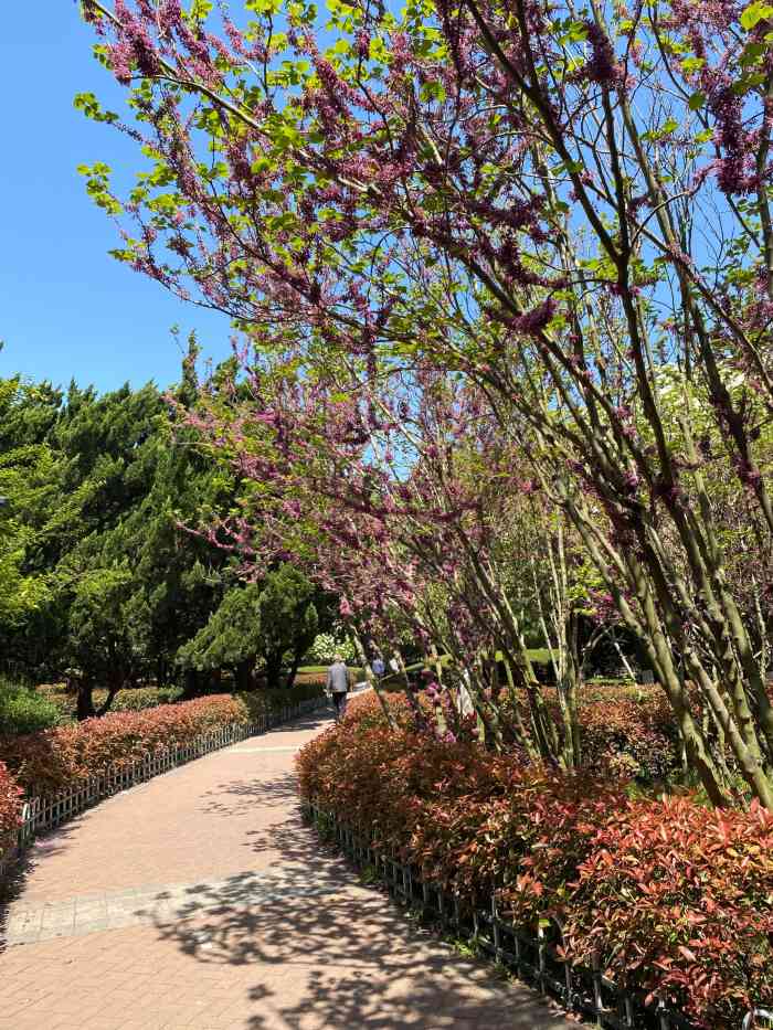 青岛市海泊河公园-"[糖果]大众点评记录美好生活[糖果] .