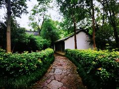 -西溪国家湿地公园