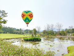 -中国科学院西双版纳热带植物园