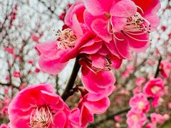 -雅达·阳羡溪山小镇中心