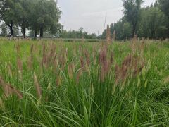 -汉长安城未央宫国家考古遗址公园