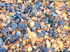 -无锡市市民中心