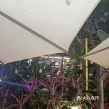 西双版纳的美食手抓饭。