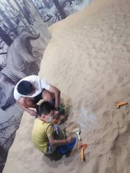 -恐龙探索乐园(磁器口店)