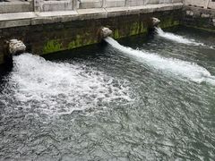 -环城公园