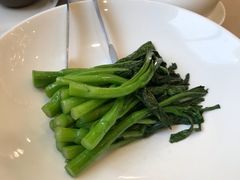 -食神鱼头佛跳墙(百子湾旗舰店)