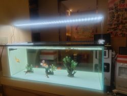 -香港倾城国际·美容美体中心