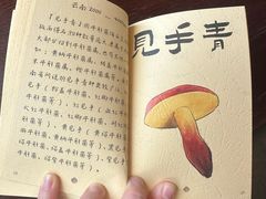 -滇野云南野生菌餐厅(陕西南路店)