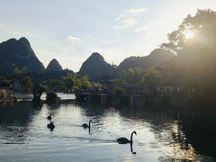-靖西鹅泉风景区
