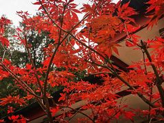 -香山公园