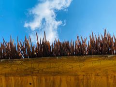 -厦门日月谷温泉渡假村