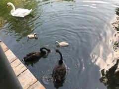 -长白岛森林公园