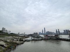 -武汉关码头(轮渡站)