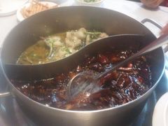 -舒来喜鱼锅(伊河路店)