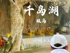 -千岛湖东南湖区