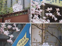 -中粮·祥云小镇