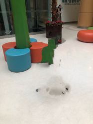 -上海浦滨儿童医院