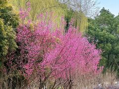 -滨湖塘西河公园