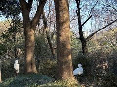 -常州淹城野生动物世界