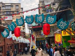 -猫咪博物馆(顶澳仔猫街店)