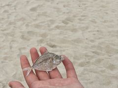 -三亚西岛海洋文化旅游区