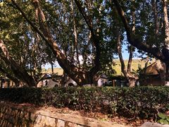 -T80科技文化国际社区-停车场