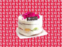 澳洲优乳蛋糕-卡滋贝诺动物奶油生日蛋糕(支塘工匠店)