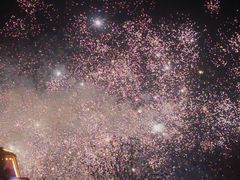 -花博汇(知音花月夜)