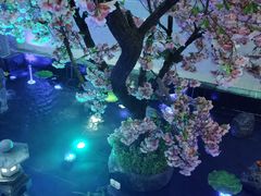 -卡拉卡拉漫温泉汗蒸