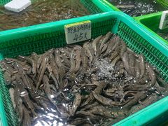 -都斛海鲜街