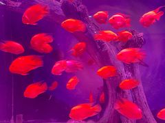 -常州海昌海洋探索馆