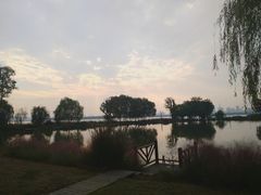 -东湖落雁景区